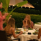 From left: Murray Bartlett, Fred Hechinger, Sydney Sweeney, Connie Britton, Brittany O’Grady, Steve Zahn